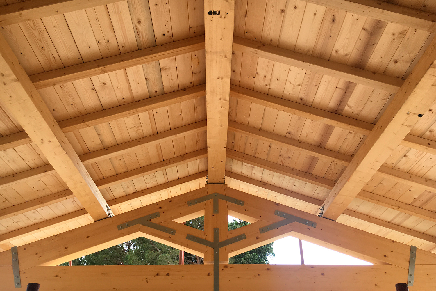 Tetti in Legno